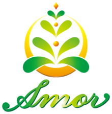 数ヶ月では消えないダイエット中に起きる無意識の