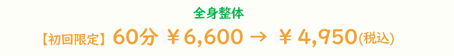 全身整体 ¥6,600(60分)